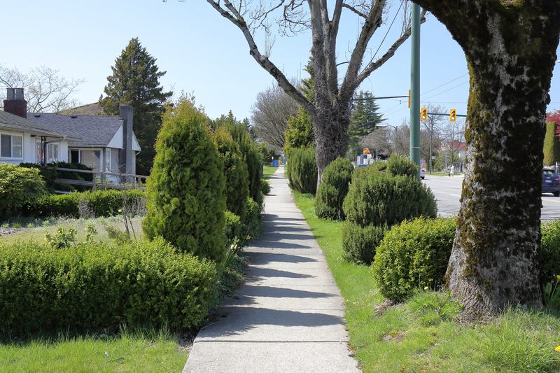 Illustration for article titled Pics from the Curbside: 2018-04-22 to Kerrisdale